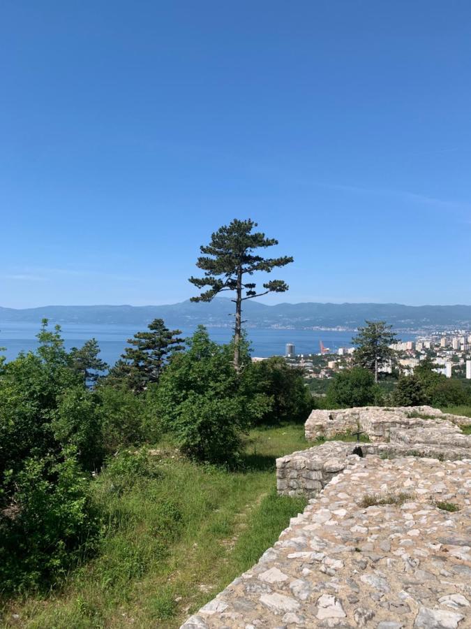 Apartman Natasa Кострена Екстер'єр фото